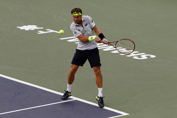 David Ferrer (getty images)