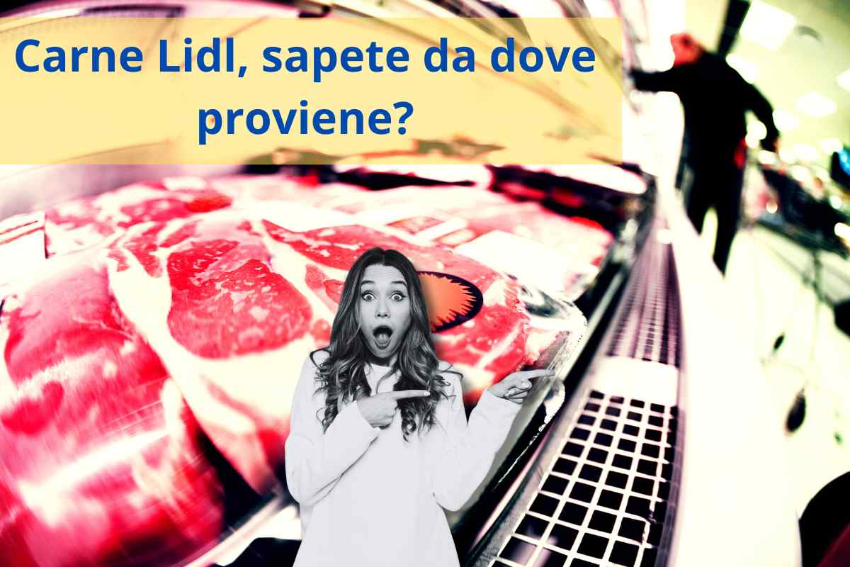 Alimentazione e sport dove proviene carne Lidl