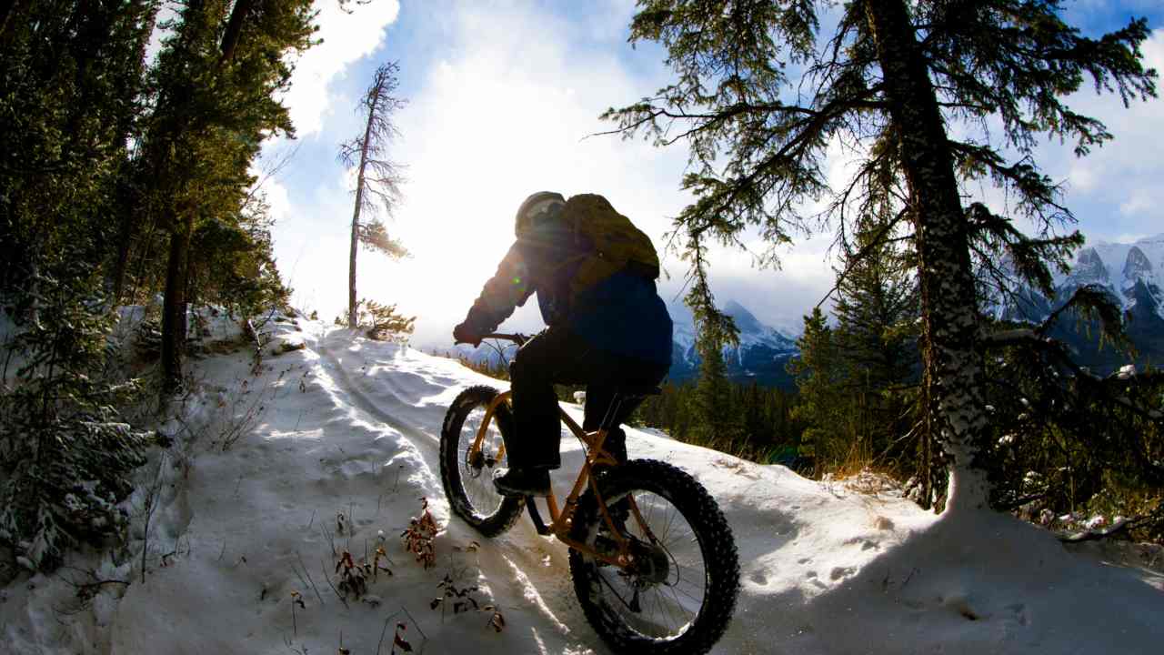 alimentazione ciclisti bicicletta