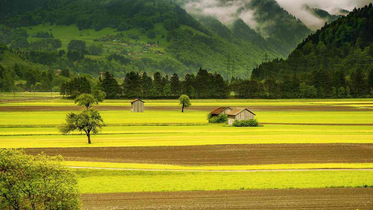 Benefici giornata campagna