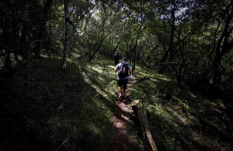 Trekking cosa mangiare