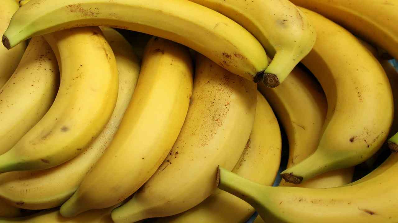 Biodisponibilità alimentare: i cibi più ricchi di vitamina K